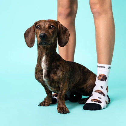 Calcetines doggy personalizados