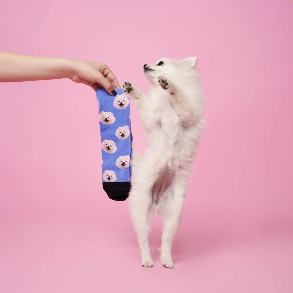 Calcetines doggy personalizados