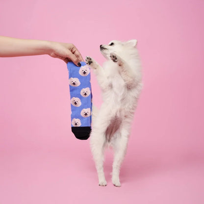 Calcetines doggy personalizados