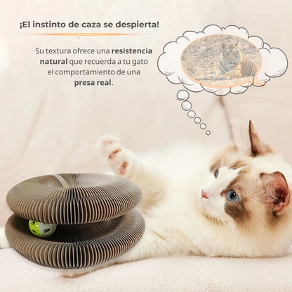 KittySpin™ | Rascador interactivo para gatos