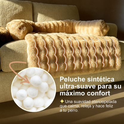 Cama Sofá Premium